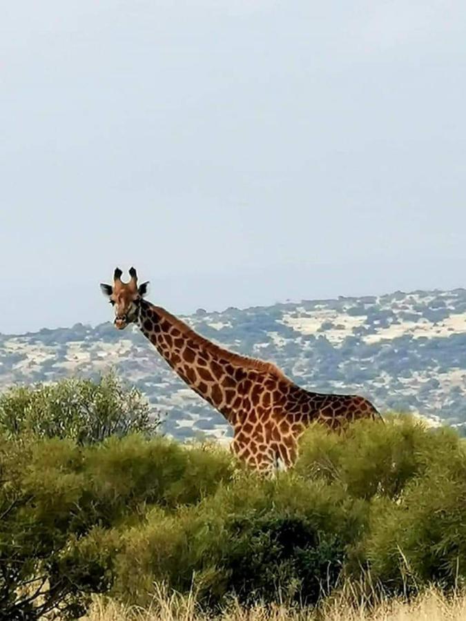 Letsatsi Game Lodge Smithfield Exterior photo